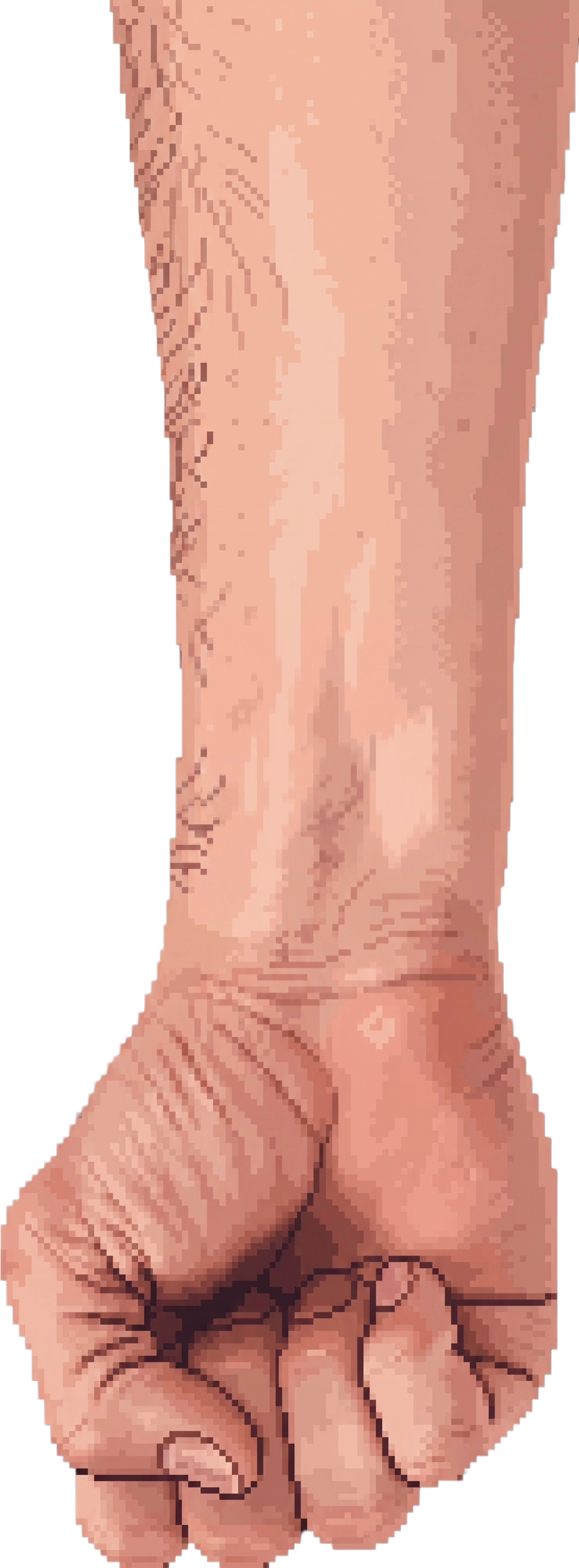 Fist
